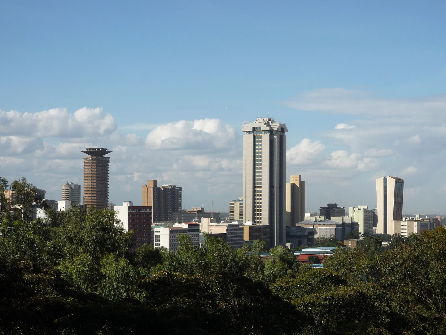 Nairobi skyline viewed across greenery